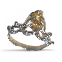 Image 1 of The Citrine Fairy Ring