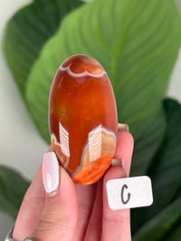 Image 3 of CARNELIAN SHIVAS
