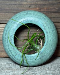 Image 3 of Small air plant hanger