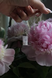 Image 1 of Morganite Magic 