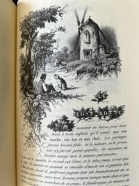 Image 20 of Les contes de Charles Perrault, éditions de luxe Jean de Bonnot, 1978.