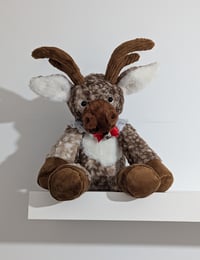 Image 3 of Remy the reindeer 