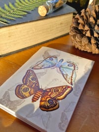 Image 2 of The Moth Keeper’s Pocket Journal