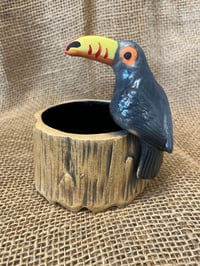Image 1 of Toucan Stump