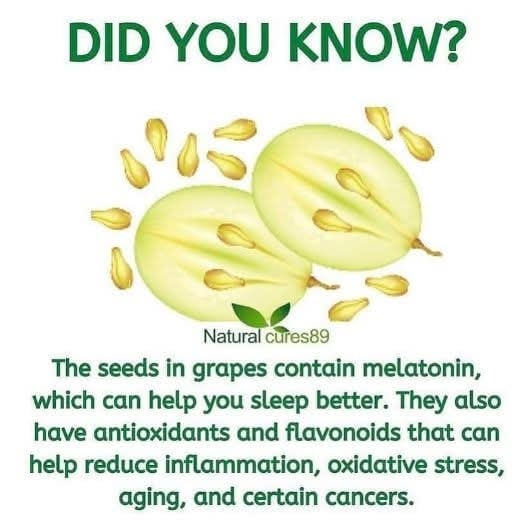 SEEDED Raisins & Grapeseed Powders. Pathogen Protection-Nerves-Cardiovascular-Veins-Circulation