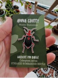 Streaked Bombardier Beetle Enamel Pin