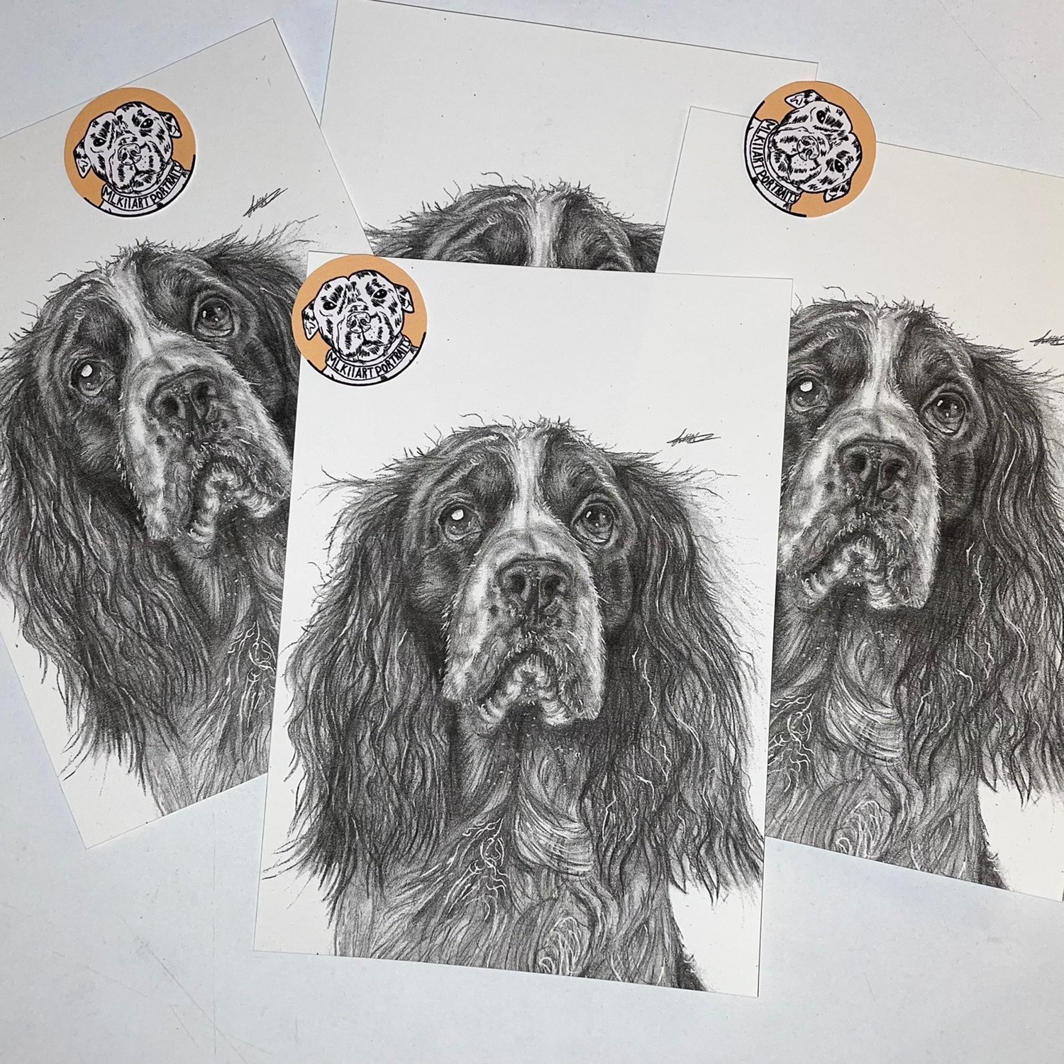 Springer Spaniel Art print 