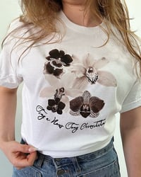 Image 1 of Chiquitita