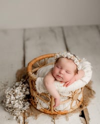 Image 2 of Rustic Daisy Halo