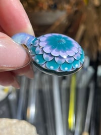 Image 5 of Cotton Candy mini 