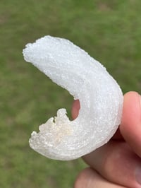 Image 6 of Ram’s Horn Selenite, Gypsum Specimen | Guizhou China #3050