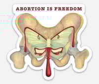 Image 1 of Abortion Is Freedom Sticker