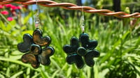 Image of 4 Leaf Clover