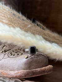 Image 1 of The Midnight Range