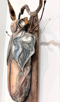Image 4 of Benevolent Bug- Michelle Tock York