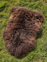 Image 1 of Harting Black Sheepskin #15