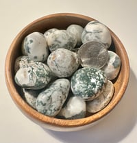 Image 15 of 3 Dollar Gemstones