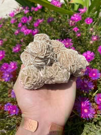 Image 3 of Desert Rose Cluster 