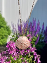 Scallop Shell Necklace N177