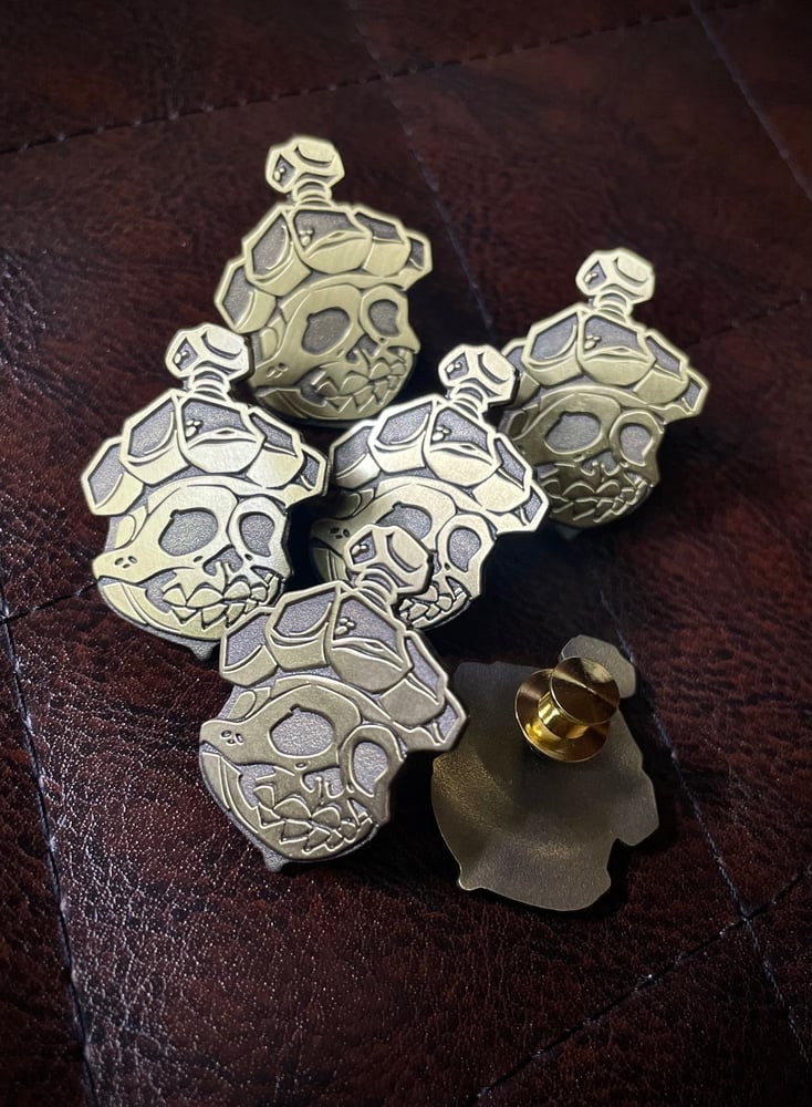 Image of ACORN pin new