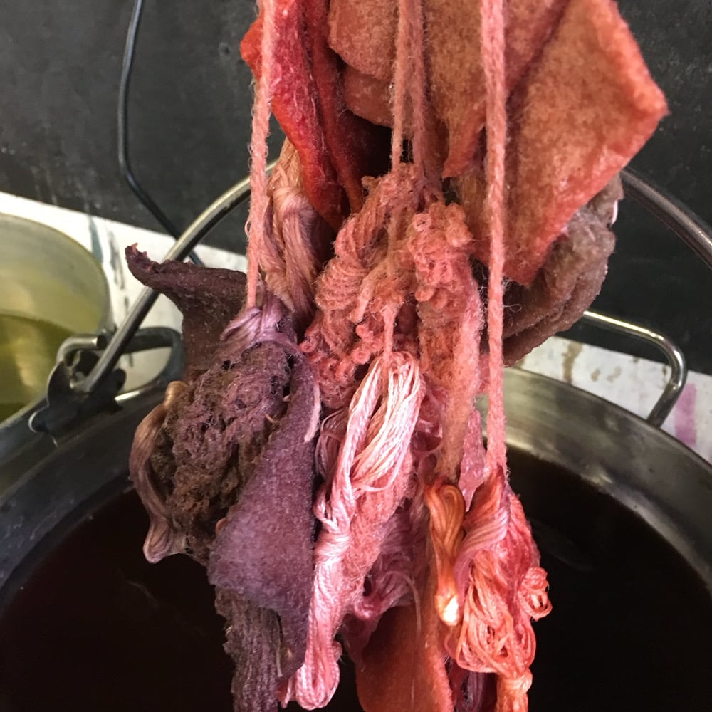 Image of Madder Dye Class