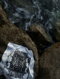 Image 1 of SATIN FOULARD FOSSILS