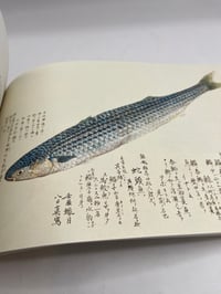 Image 5 of Fishes of Edo