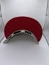 Tampa Bay Rays Exclusive Fitteds 7 1/2 Image 2