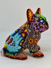 Image 1 of French Bulldog Puppy 0013
