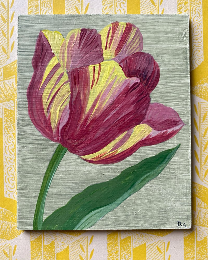Image of Yellow and Pink Tulip