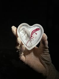 Image 1 of Diaphonized and fixed chameleons in resin hearts 