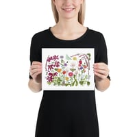 Image 16 of Garden Fireworks- Poster Print