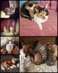 Image 2 of Tip Jar - Φιλοδώρημα