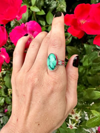 Image 4 of Dry Desert Oasis Variscite Ring