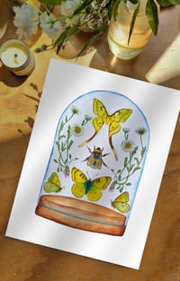 Image 4 of Insect Art Print April Dome, Under Glass Collection copy