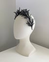 ALPINIA : BLACK