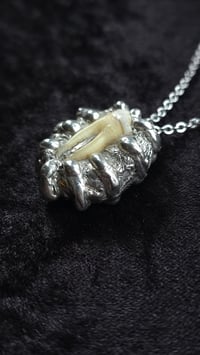 Image 2 of Human tooth organic soldered necklace
