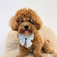 Image 5 of CUPID BLUE SAILOR BOW