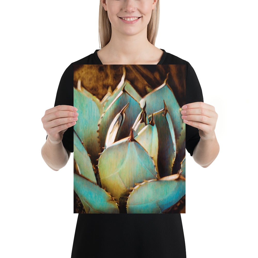 Photo Print: Agave Succulent