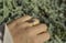 Image of 14k Gold Opalring