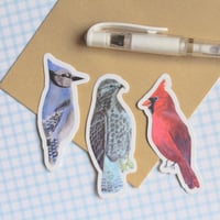 Image 3 of Midwestern Bird Vinyl Stickers 