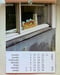 Image of Cats and Dogs in the Window • 2026 CALENDAR