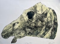 Horse Head III