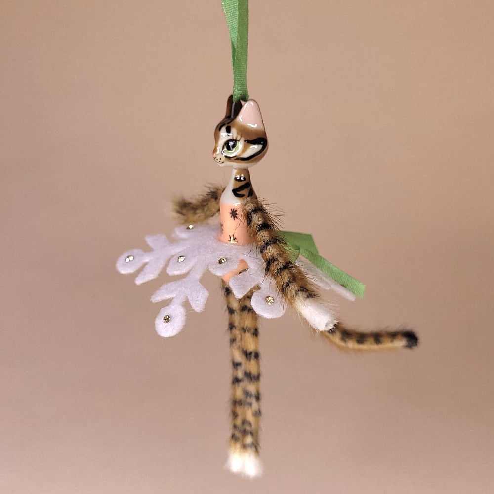 Image of Brown Tabby Snowflake Kitten