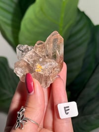 Image 5 of CHOOSE YOUR OWN NATURAL (UNPOLISHED) RUTILE IN QUARTZ POINT -BRAZIL-