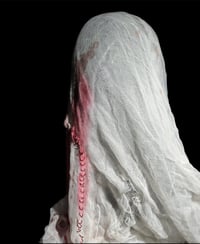 Image 4 of The Feasting Veil