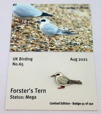 Image 1 of Forster's Tern - August 2021 - UK Birding - Enamel Pin Badge