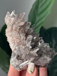 Image 4 of PINK COLOMBIAN QUARTZ WITH CHLORITE A