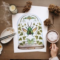 Image 2 of January Dome, Under Glass Collection