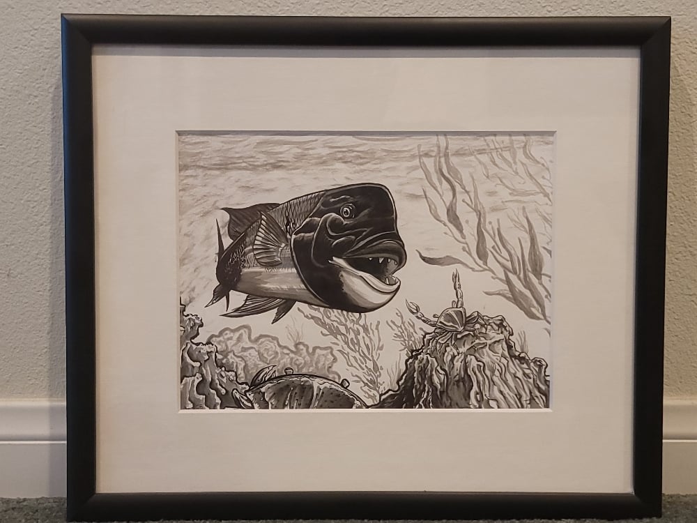 Image of Sheephead waterbrush sketch